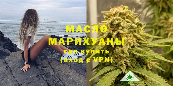 амф Каменка