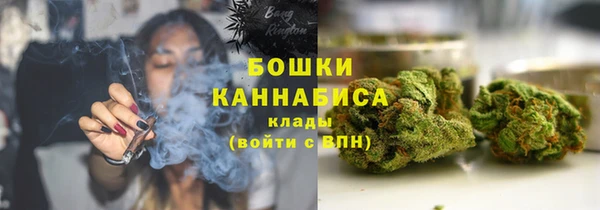 амф Каменка