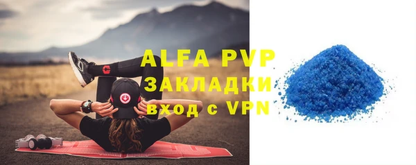амф Каменка
