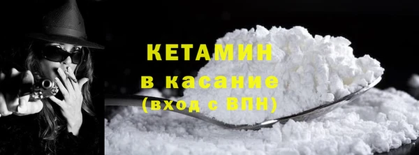 амф Каменка
