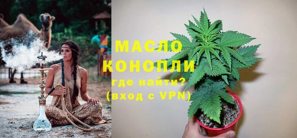 амф Каменка