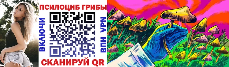 Галлюциногенные грибы Psilocybine cubensis  Купить где  Сураж 